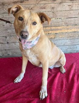 ❤️ liebebedürftige gemütliche DAGGI ❤️ - Mamming