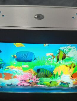 SEA - World - Kempen
