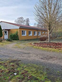 Großes Grundstück, Riesen-Garage, Stall - Großzügiges Wohnhaus in Greifswald-Ladebow - Greifswald