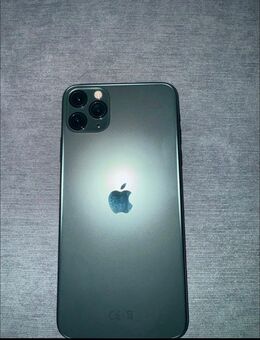 iPhone 11 Pro Max 256GB Nachtgrün - Braunschweig