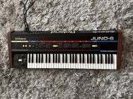 Roland Juno 6 Analog Polyphonic Synthesizer - Berlin