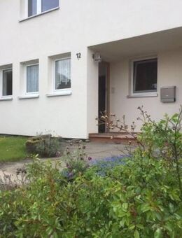 2 Zimmer EG-Wohnung (mit Kaminanschluss) in Eddigehausen - Bovenden