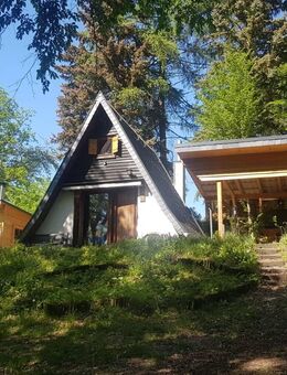 Gerstungen OT! Waldzauber – Dein Rückzugsort in der Natur! - Gerstungen