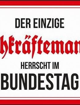 Witziges Blechschild Der einzige Fachkräftemangel Politik Regierung 20x30 cm - Berlin