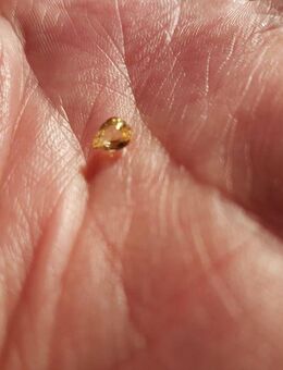 0,45 ct - TOP Augenreiner , gelber Saphir , Pear / Tropfen Fac. - Neubrandenburg