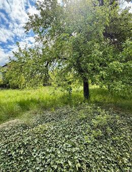 GROßZÜGIGES GRUNDSTÜCK 2.187 m² MIT DHH - Handwerkliches Geschick gefragt, sofort bezugsbereit! - Seelow