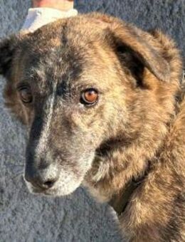 SOLEANDRO - was ist mit Dir nur passiert - Regensburg