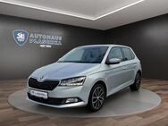 Skoda Fabia, 1.0 TSI Soleil, Jahr 2019 - Amelinghausen