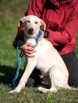 Macchu Picchu - Marsberg
