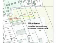 Klusdamm: Weide, Grundstück, Pferdekoppel, Hundewiese - Magdeburg