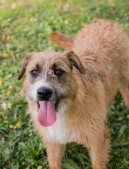 10726511 - ein neues Kapitel beginnen - Overath