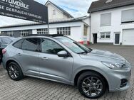 Ford Kuga 2.5 ST-Line X PANO*ACC*B&O*Virtual*Leder*AK - Wiesbaden