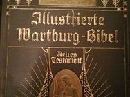 Illustrierte Wartburg-Bibel, Neues Testament, v. 1908 zu verkaufen - Berlin Charlottenburg-Wilmersdorf