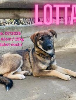 Lotta - Team Iuliana - Rinteln