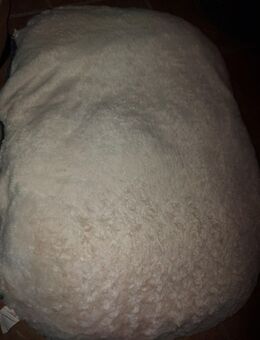 Hundebett extrem Weich und Plüschfigur Neu - Delmenhorst