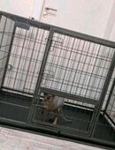 Tierkäfig Indoor und Outdoor in 23968