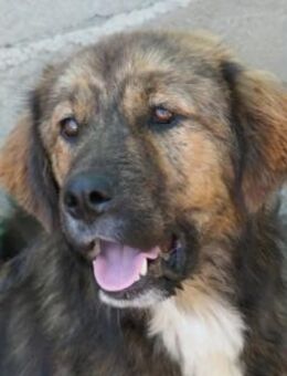 Menschenbezogener, lieber Puiu - Kallmünz