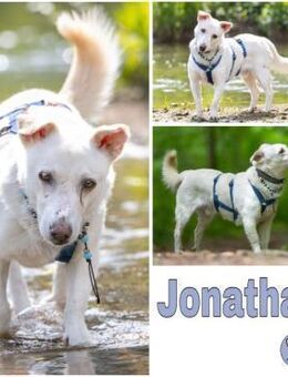 JONATHAN -sucht erfahrene Menschen- - Duisburg
