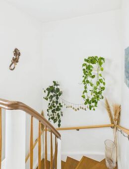 Traumhaus in Bestlage von Limburgerhof - mit Garage und großzügigem Garten - Limburgerhof