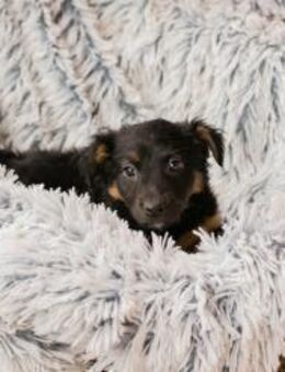 FLORI - da können wir ja was unternehmen - Overath