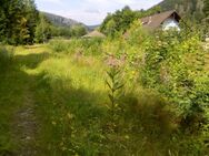 Bad Lauterberg, Grundstück - Bad Lauterberg (Harz)