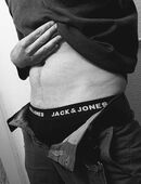 Sympathischer Bull sucht willige Stute in 8053