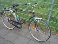 HORI Stadtrad / Hollandrad / Medium 55cm Rh - Köln