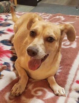 RANYA - kleine, freundliche Persönlichke - Augsburg