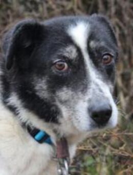 Wo sind Susus Menschen? - München