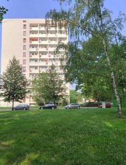 1-Raum-Wohnung in Trotha - Halle (Saale)