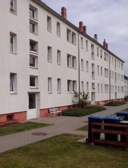 kleine 3 Raumwohnung mit Balkon zum Selbstrenovieren - Zschepplin