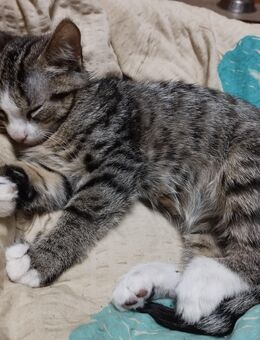 Dosenöffner gesucht - Ducherow