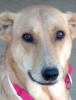 Cleopatra -freundlich und offen- - Oldenburg