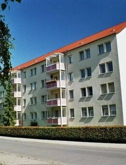 Preiswert und gut geschnitten - Thale