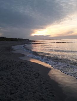 Suche eine feste Partnerschaft auf Augenhöhe - Stendal (Hansestadt)