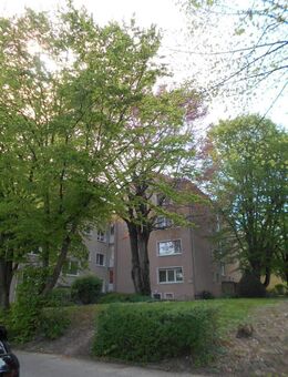 Kapitalanlage! Vermietete 2 Zimmer-Wohnung in zentraler Lage von Wiesbaden! - Wiesbaden