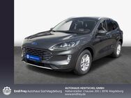 Ford Kuga 2.0 EcoBlue Aut. TITANIUM X 88 kW, 5-türig (Diesel) - Magdeburg