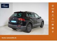 VW Tiguan, 1.5 TSI Life DC, Jahr 2024 - Neumarkt (Oberpfalz)