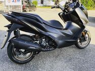 Neufahrzeug 350ccm Maxi Scooter Zontes 350E 350er Groß Roller in schwarz matt - Obersulm