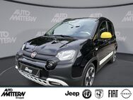 Fiat Panda, Pandina Cross, Jahr 2022 - Herford (Hansestadt)