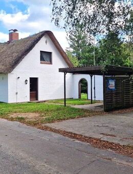 Reetdachhaus in der Nähe der Nordsee - großzügig, vielseitig, naturnah - Ostenfeld (Husum)