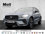 Volvo XC60 Plus Dark 2WD B4 Benzin EU6d AHK digitales Cockpit Memory Sitze Soundsystem HarmanKardon - Aachen