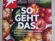 Zeitschrift: "STERN" Nr. 35 / 20.8.2020 - NEU & UNGELESEN - So geht das ! - Neuss