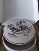 große Bonbonniere in 44143