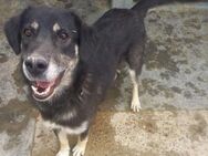 SIMON - sanft und sportlich - Weilheim (Oberbayern)