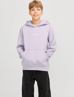 Jack & Jones Junior Kapuzensweatshirt JORVESTERBRO SWEAT HOOD NOOS JNR