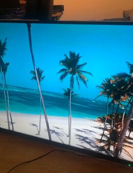 Toshiba 65Zoll - Coburg