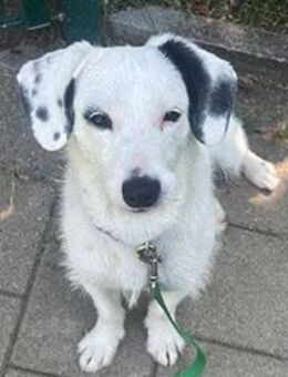 Lucy sucht die richtigen Menschen - Gilching