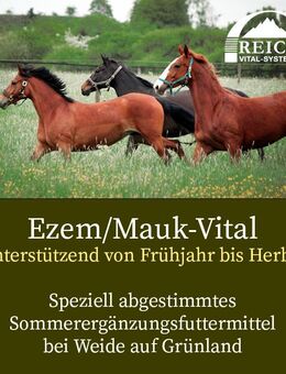 Nahrungsergänzungsmittel für s Pferd von Reico - Fürstenfeldbruck Zentrum
