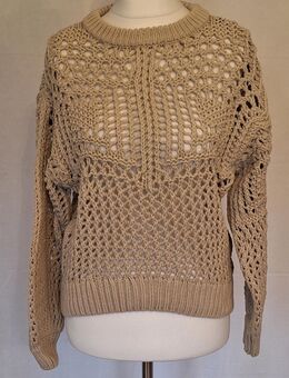 Pullover, beige, SET - Nienburg (Weser)
